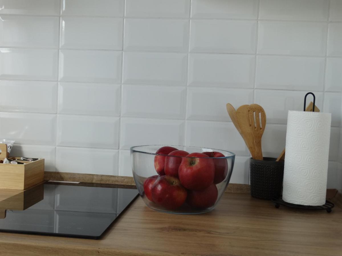 Apartamenty Tatrzanska Dolina Kościelisko Dış mekan fotoğraf