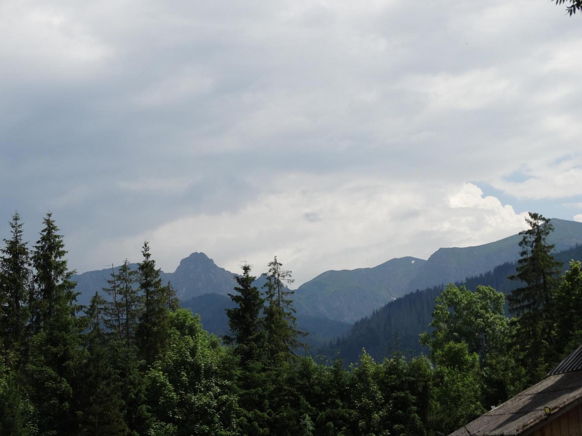 Apartamenty Tatrzanska Dolina Kościelisko Dış mekan fotoğraf